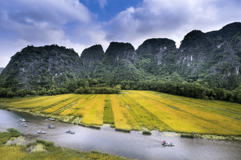Tam Coc is renowned for its stunning landscapes of towering limestone peaks, lush rice paddies (Source: Pexels)